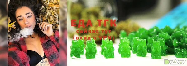 индика Абинск