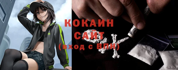 индика Абинск