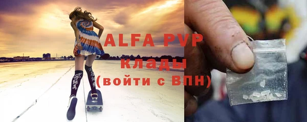 индика Абинск