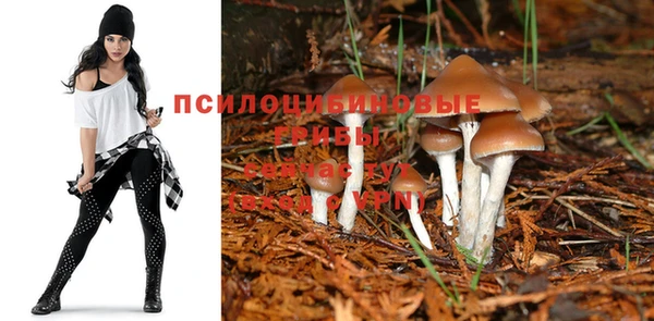 метадон Абдулино
