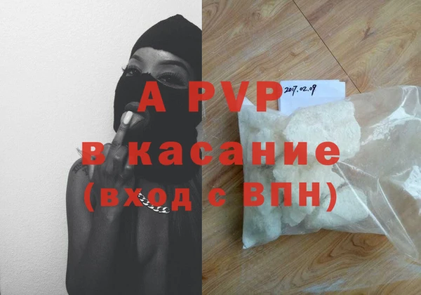 индика Абинск