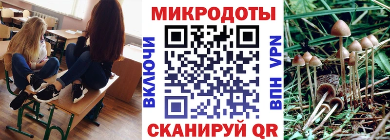 Галлюциногенные грибы прущие грибы  Ярославль 